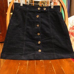 Forever 21 Velvet Skirt (read below)